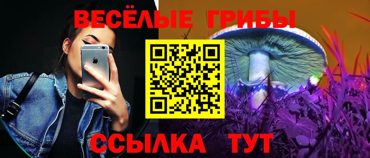 Галлюциногенные грибы мицелий  Псилоцибиновые грибы прущие грибы  Ипатово  Вход с VPN 